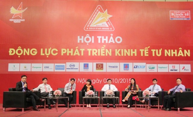 Văn kiện Đại hội XII của Đảng: Kinh tế tư nhân là động lực để phát triển đất nước - ảnh 3